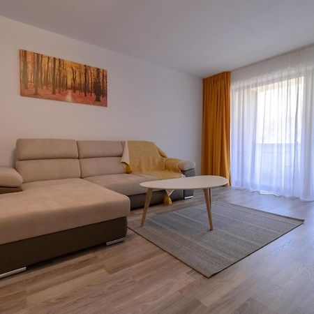Transylvanian Apt. W/ Lrg. Terrace And Parking - Karpatenhaus Μπρασόβ Εξωτερικό φωτογραφία